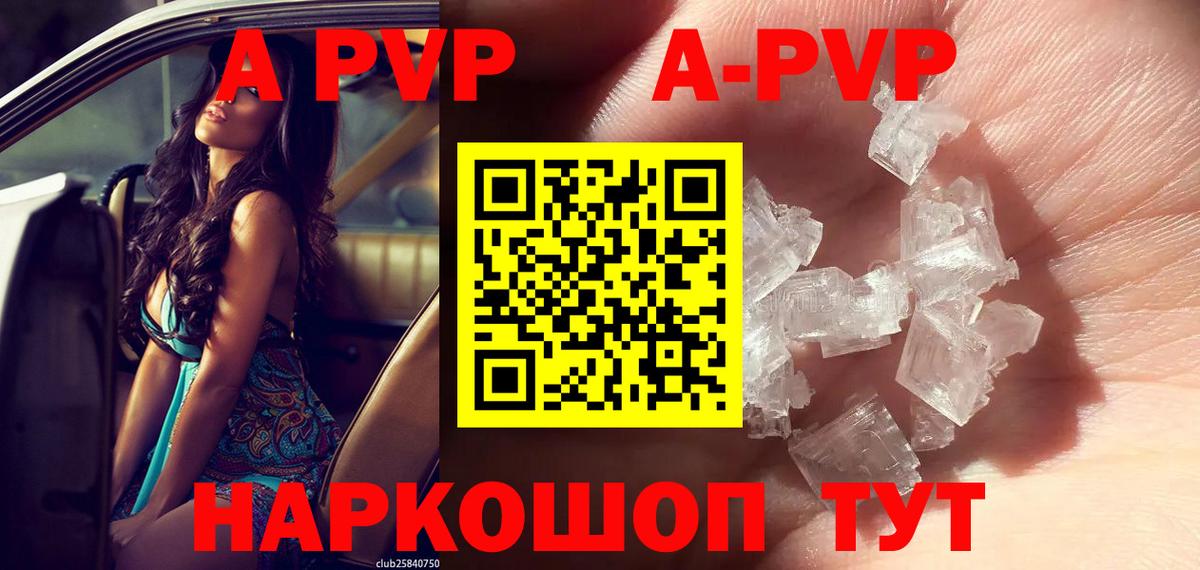Alfa_PVP СК КРИС Гусев