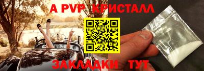 крисы Гагарин