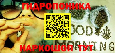 крисы Гагарин