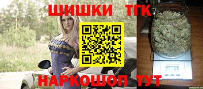крисы Гагарин