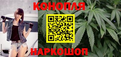 крисы Гагарин