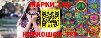 крисы Гагарин