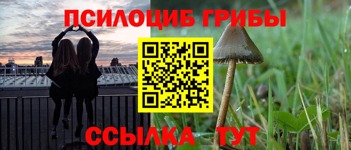 закладки  Псилоцибиновые грибы Psilocybine cubensis  Вход с VPN  Гусев 