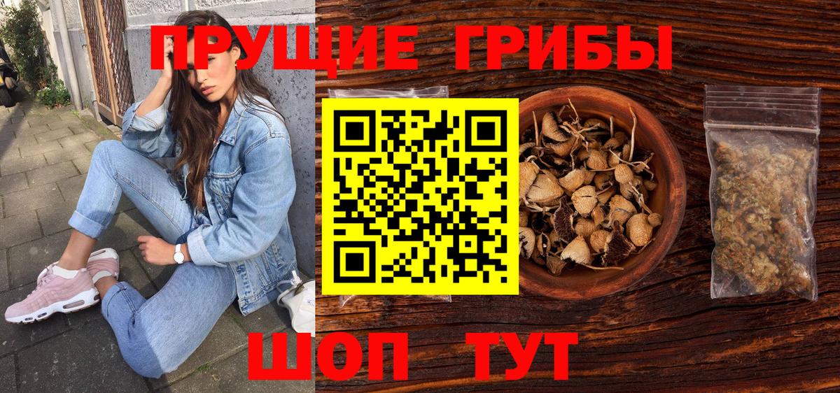 Псилоцибиновые грибы Psilocybe Гусев